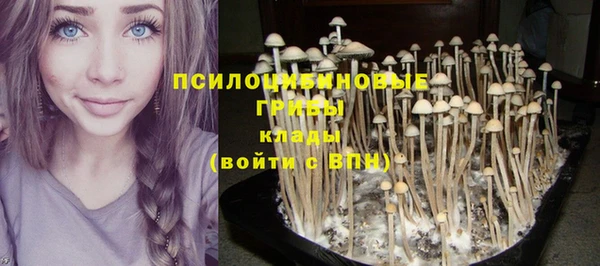 mdma Зеленокумск