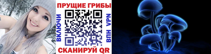 Купить закладки Шали Псилоцибиновые грибы прущие грибы